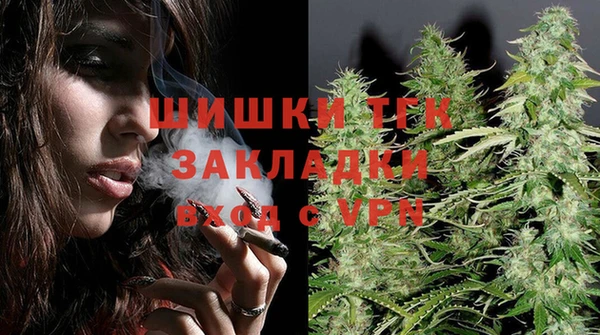 сатива Армянск
