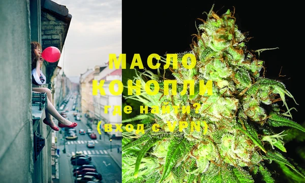 сатива Армянск