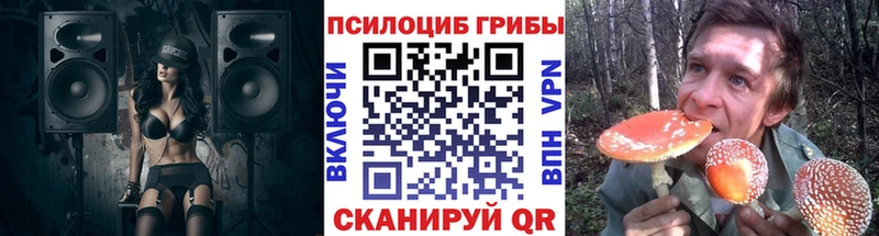 Псилоцибиновые грибы Psilocybine cubensis  Буй 